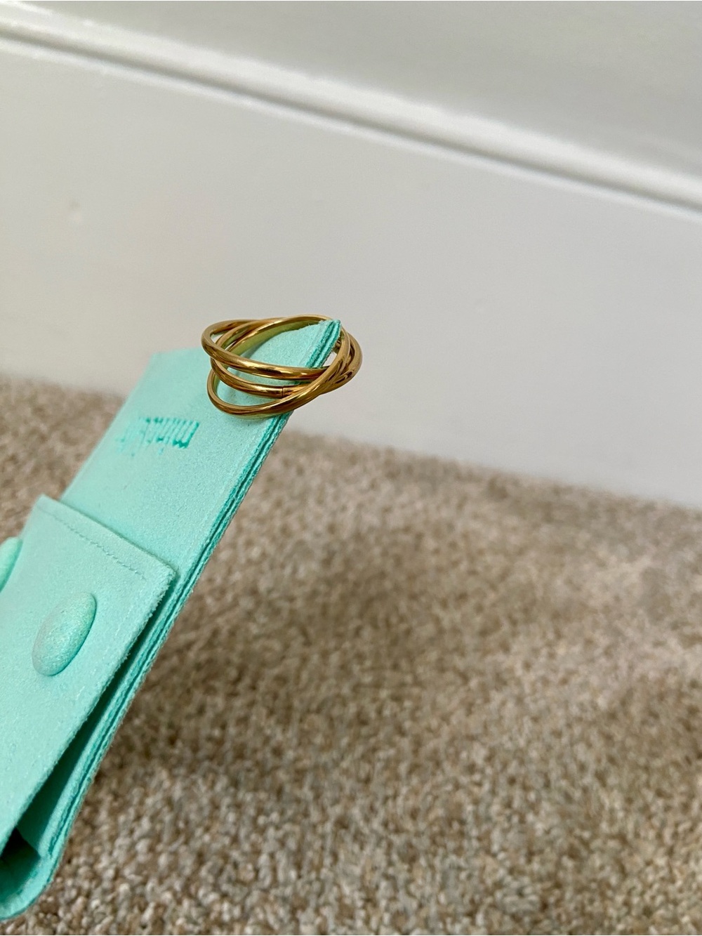 Dainty Interlocking Fidget Ring mint & lily Size 9
